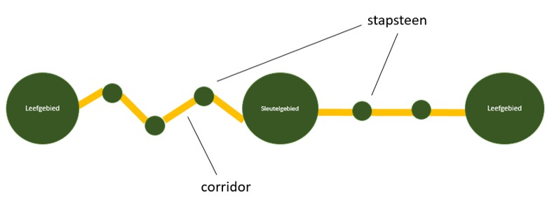 Afbeelding: verbinden van locaties maakt een ecologische verbindingszone