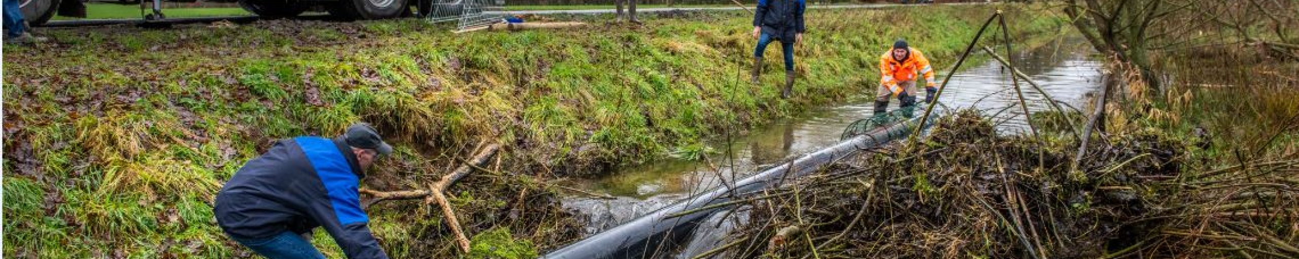 Foto van plaatsing van de 'beaver deceiver' in een watergang bij een beverdam. Een beaver deceiver is een PVC-buis die ervoor zorgt dat het water kan doorstromen. De beverdam kan dan blijven bestaan.
