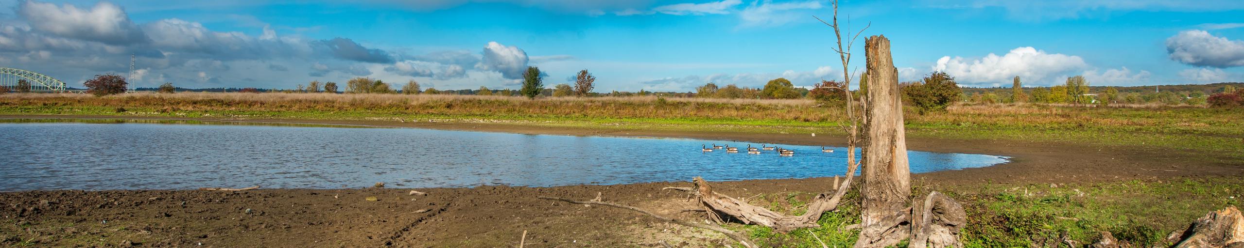 Droogte in natuurgebied Meinerswijk