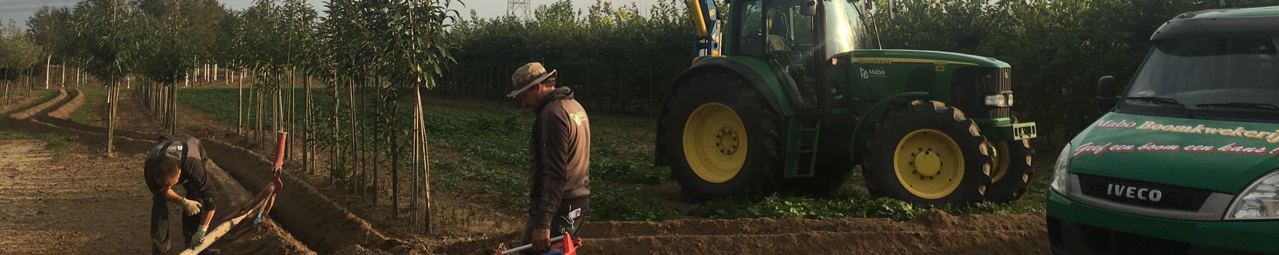 Mensen aan het werk met het aanleggen van waterbesparende installatie voor het besproeien van bomen.