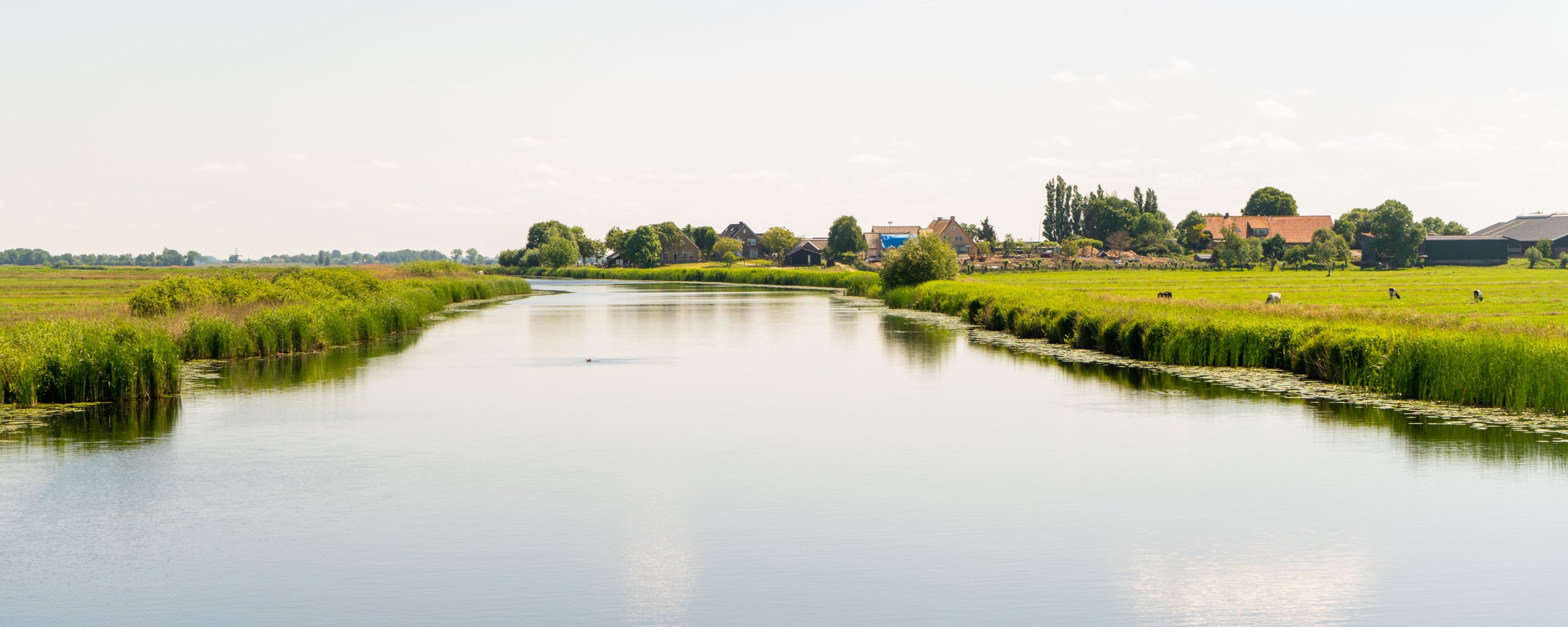 Foto achterwaterschap