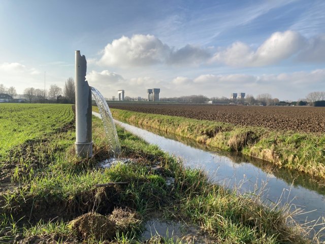 kwel bij IJzendoorn