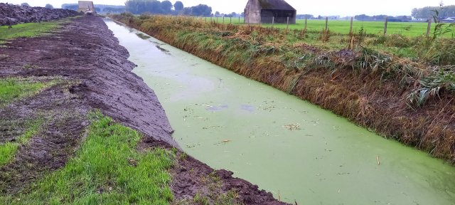 De nieuwe oever bij de bunkers van de Diefdijk.
