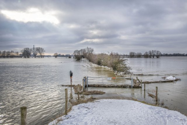 drijfvuil bij Oosterhout