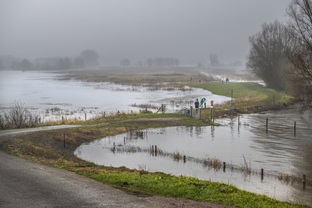 Wandelaars in uiterwaarden