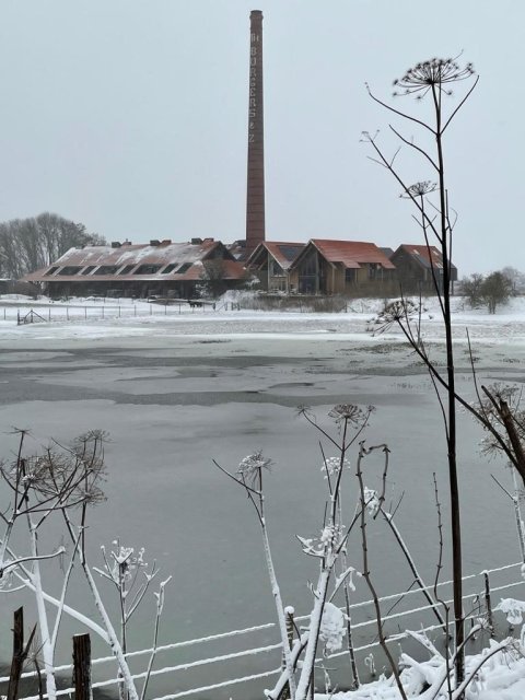 Sneeuw en ijs op de Waal bij Beuningen